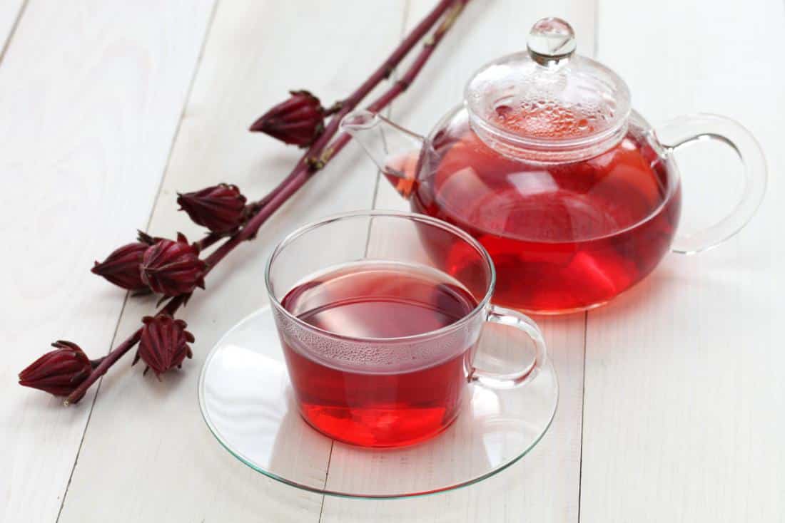 hibiscus tea in prenancy