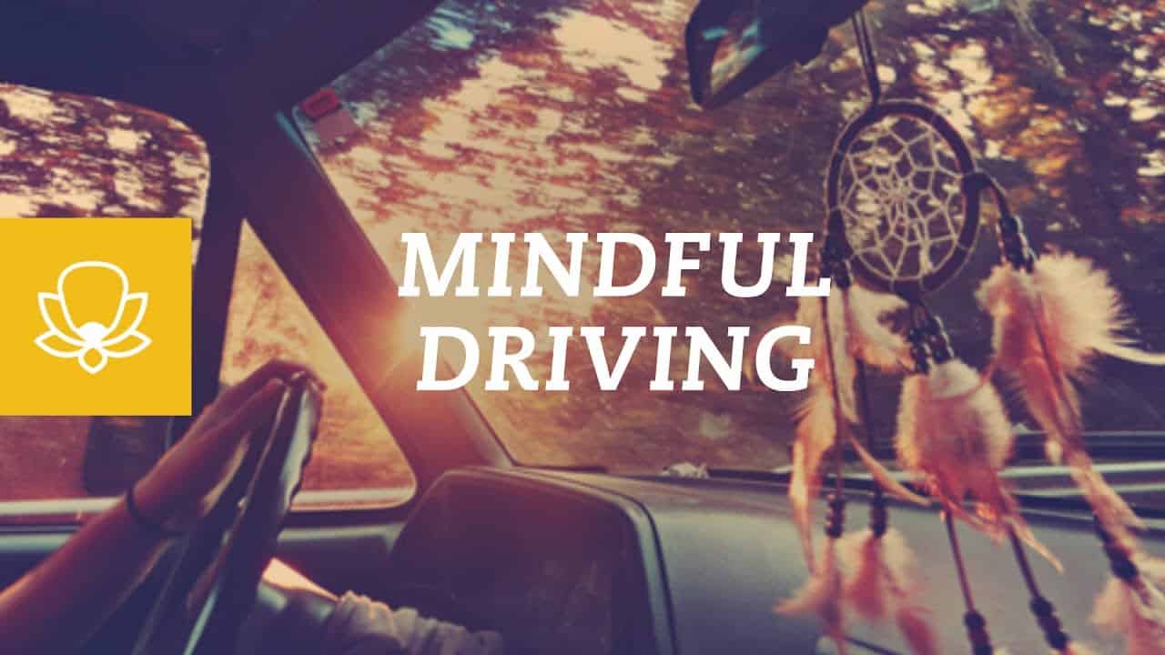 Mindful Driving Practices