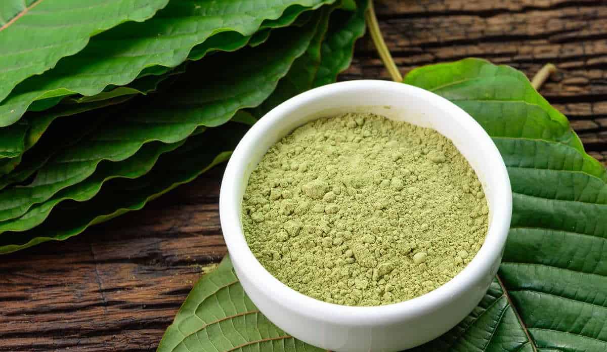 The Ultimate Guide on How to Make Kratom Tea