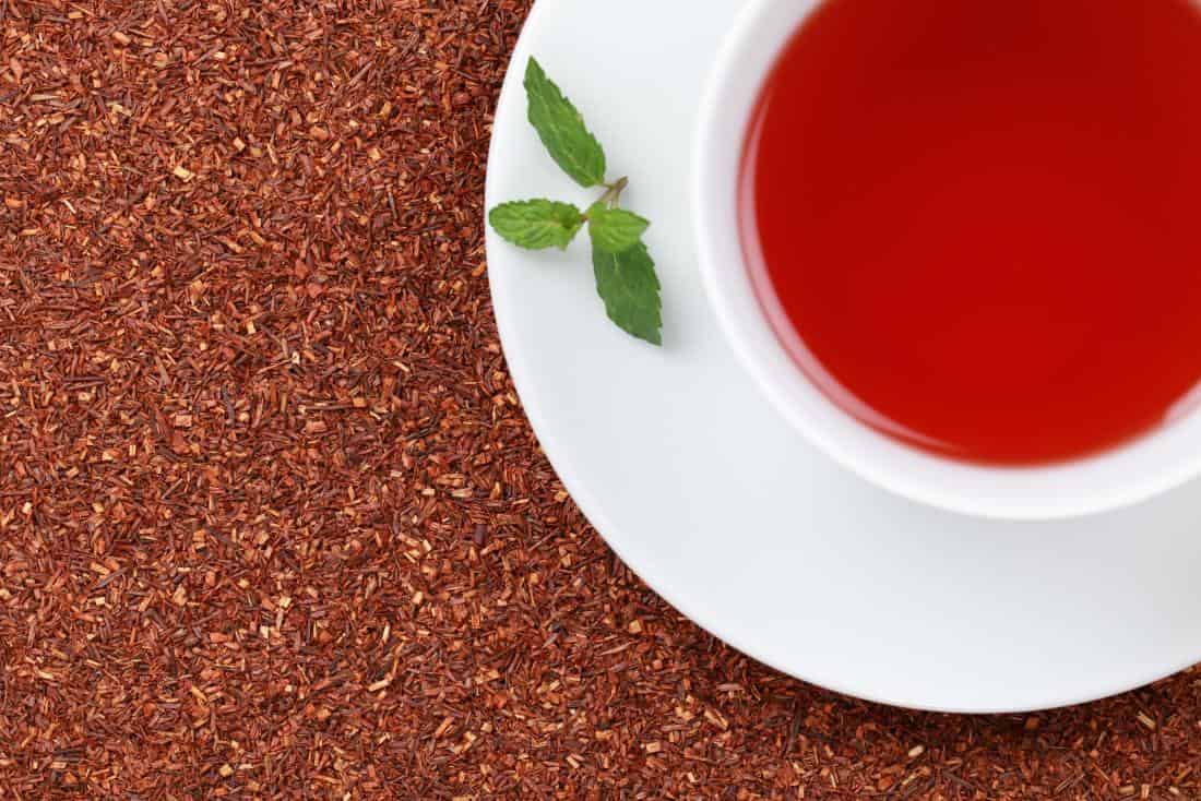 Rooibos Tea: The Red-Hot Beverage For You