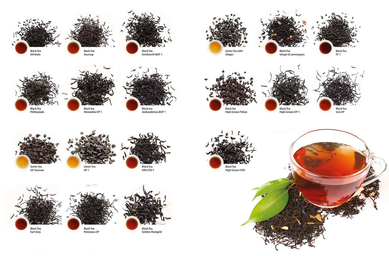 Tea Grades Explained: What Do They Mean?